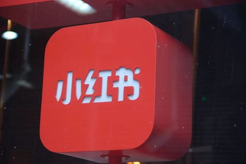 商业化全面提速 多位滴滴前中高层加入小红书，广告业务迎变局