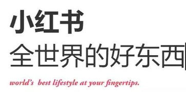 小红书达人/素人签约机构避坑指南 超详细防割韭菜手册